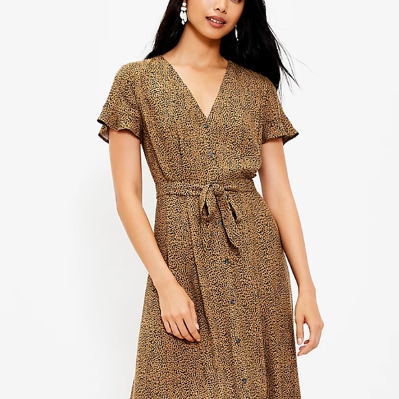 Loft Dresses | Leopard Print V-Neck Midi Shirtdress - Picture 1 of 4
